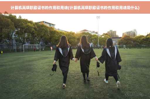 计算机高级职称证书的作用和用途(计算机高级职称证书的作用和用途是什么)