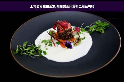 上市公司校招要求,校招需要计算机二级证书吗