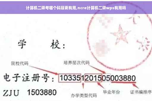 计算机二级考哪个科目更有用,ncre计算机二级wps有用吗