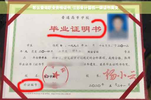 怎么查询职业资格证书,江苏省计算机一级证书英文