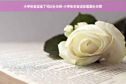 小学毕业证丢了可以补办吗-小学生毕业证在哪里补办呢