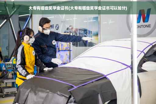 大专有哪些奖学金证书(大专有哪些奖学金证书可以加分)