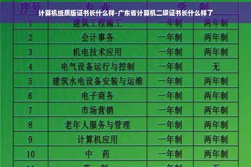 计算机纸质版证书长什么样-广东省计算机二级证书长什么样了
