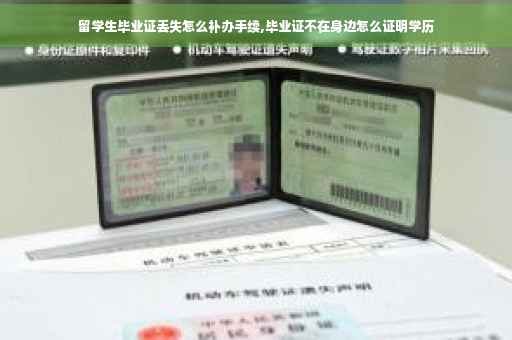 留学生毕业证丢失怎么补办手续,毕业证不在身边怎么证明学历