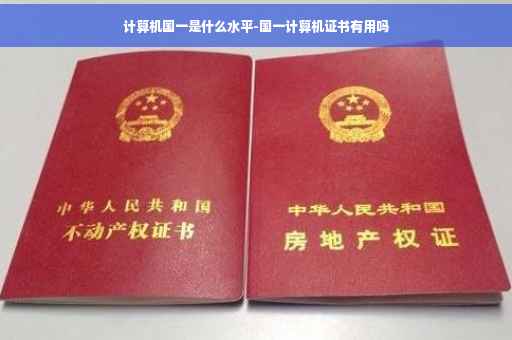 计算机国一是什么水平-国一计算机证书有用吗