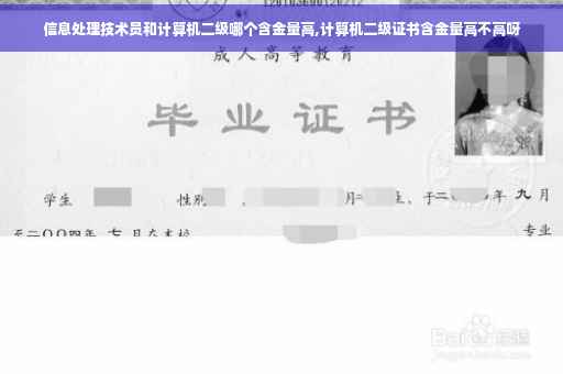 信息处理技术员和计算机二级哪个含金量高,计算机二级证书含金量高不高呀