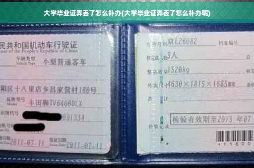 大学毕业证弄丢了怎么补办(大学毕业证弄丢了怎么补办呢)
