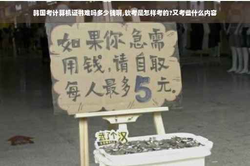 韩国考计算机证书难吗多少钱啊,软考是怎样考的?又考些什么内容