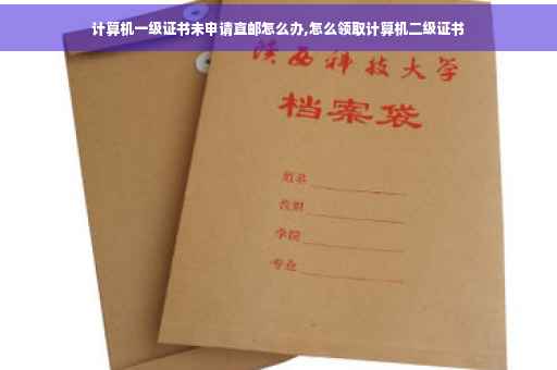 计算机一级证书未申请直邮怎么办,怎么领取计算机二级证书