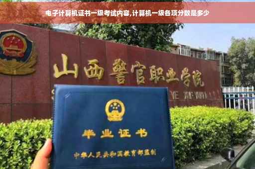电子计算机证书一级考试内容,计算机一级各项分数是多少