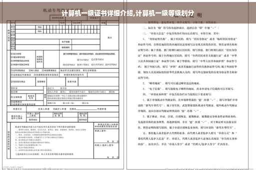 计算机一级证书详细介绍,计算机一级等级划分