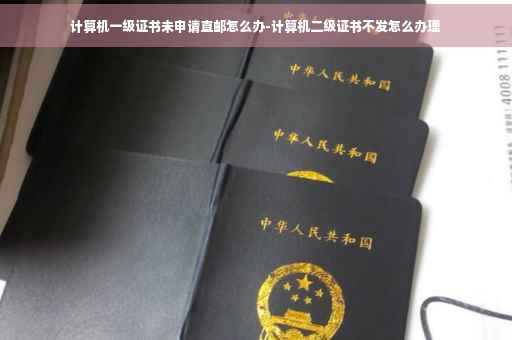 计算机一级证书未申请直邮怎么办-计算机二级证书不发怎么办理