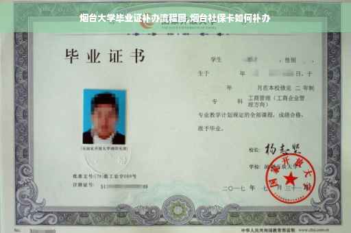 烟台大学毕业证补办流程图,烟台社保卡如何补办