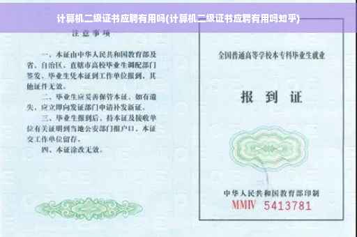 计算机二级证书应聘有用吗(计算机二级证书应聘有用吗知乎)