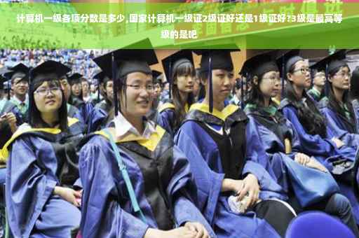 计算机一级各项分数是多少,国家计算机一级证2级证好还是1级证好?3级是最高等级的是吧