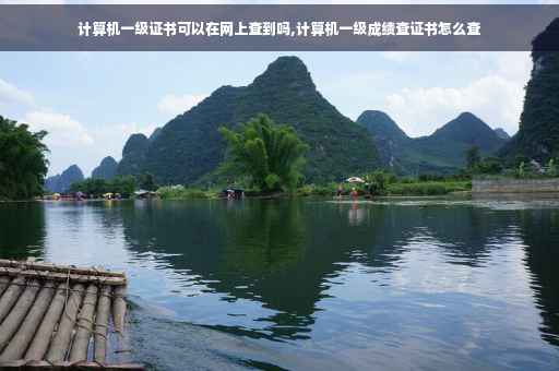 计算机一级证书可以在网上查到吗,计算机一级成绩查证书怎么查