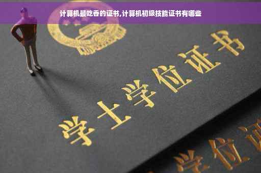 计算机最吃香的证书,计算机初级技能证书有哪些