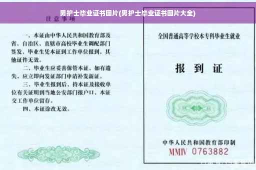 男护士毕业证书图片(男护士毕业证书图片大全)