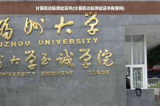 计算机达标测试证书(计算机达标测试证书有用吗)