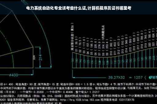 电力系统自动化专业该考些什么证,计算机程序员证书哪里考 电力系统自动化专业该考些什么证,计算机程序员证书哪里考