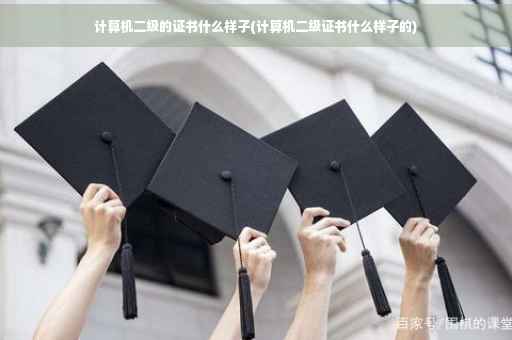 计算机二级的证书什么样子(计算机二级证书什么样子的)