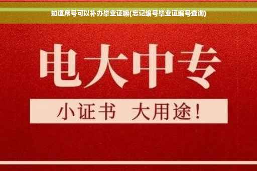知道序号可以补办毕业证嘛(忘记编号毕业证编号查询)