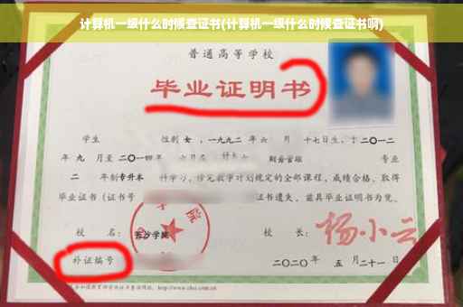 计算机一级什么时候查证书(计算机一级什么时候查证书啊)