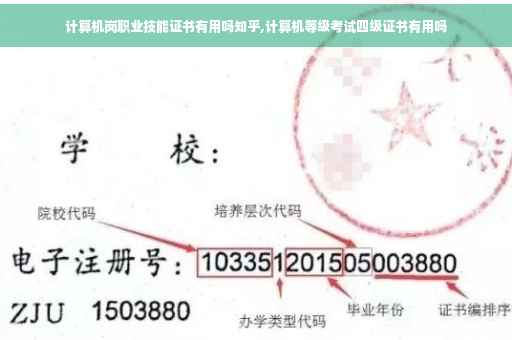 计算机岗职业技能证书有用吗知乎,计算机等级考试四级证书有用吗