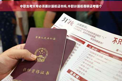 中职生考大专必须要计算机证书吗,中职计算机等级证考哪个