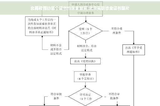 北舞和舞协哪个证书的含金量高,北京高职毕业证书图片
