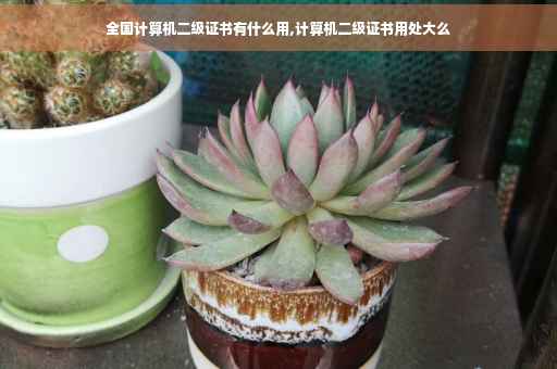 全国计算机二级证书有什么用,计算机二级证书用处大么