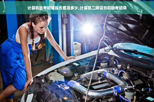 计算机软考初级报名费是多少,计算机二级证书和软考初级