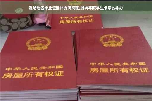 潍坊地区毕业证能补办吗现在,潍坊学院学生卡怎么补办
