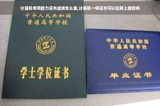 计算机专项能力证书成绩怎么查,计算机一级证书可以在网上查到吗