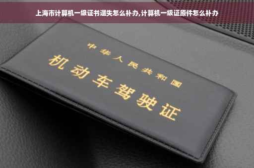 上海市计算机一级证书遗失怎么补办,计算机一级证原件怎么补办