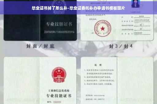 毕业证书掉了怎么补-毕业证委托补办申请书模板图片