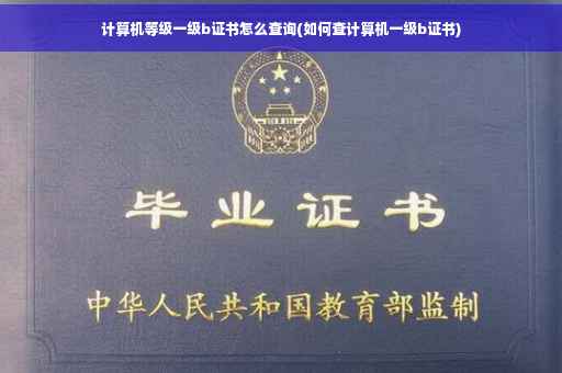 计算机等级一级b证书怎么查询(如何查计算机一级b证书)