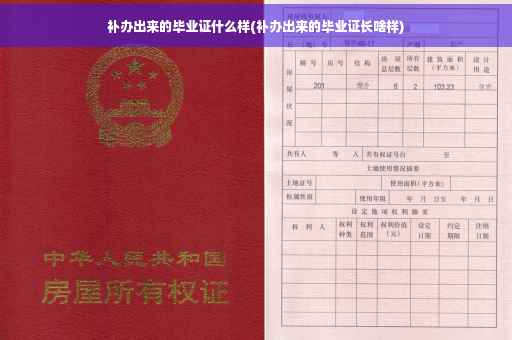 补办出来的毕业证什么样(补办出来的毕业证长啥样)