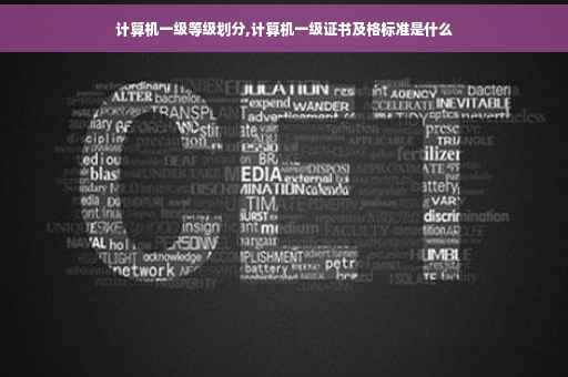 计算机一级等级划分,计算机一级证书及格标准是什么