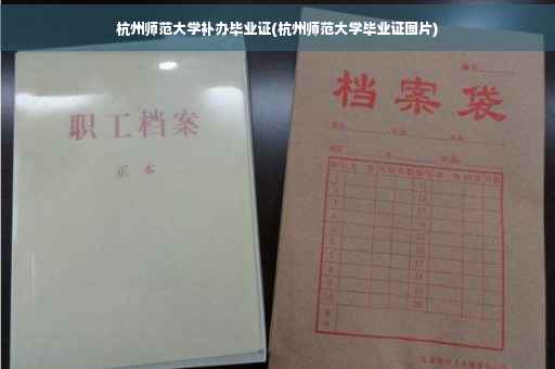 杭州师范大学补办毕业证(杭州师范大学毕业证图片)
