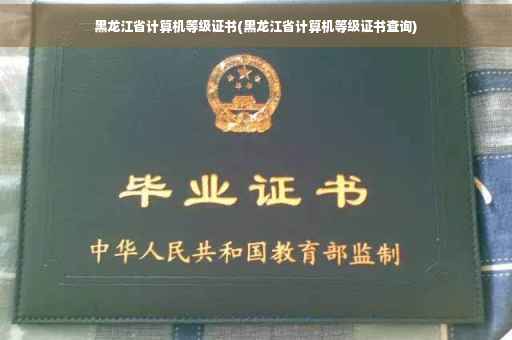 黑龙江省计算机等级证书(黑龙江省计算机等级证书查询) 黑龙江省计算机等级证书(黑龙江省计算机等级证书查询)