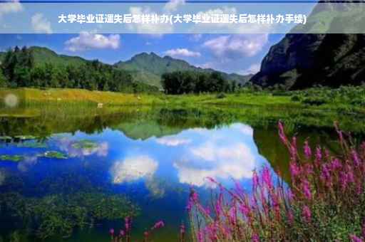 大学毕业证遗失后怎样补办(大学毕业证遗失后怎样补办手续)