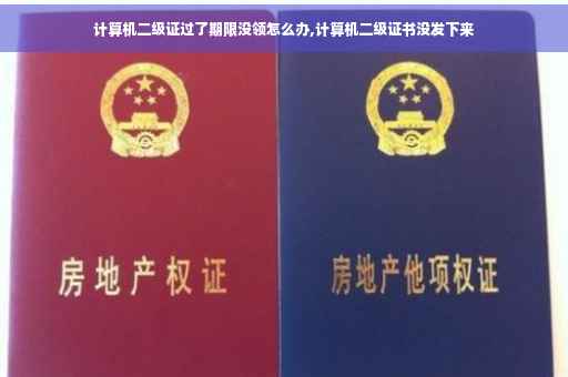 计算机二级证过了期限没领怎么办,计算机二级证书没发下来