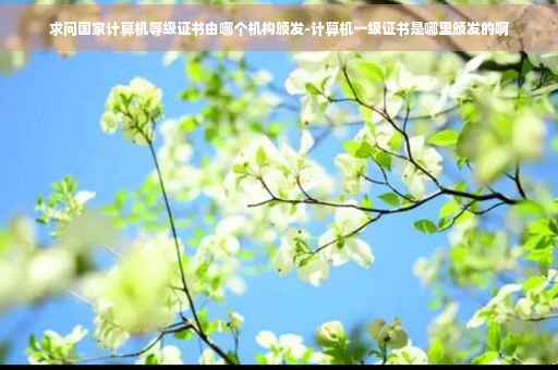 求问国家计算机等级证书由哪个机构颁发-计算机一级证书是哪里颁发的啊