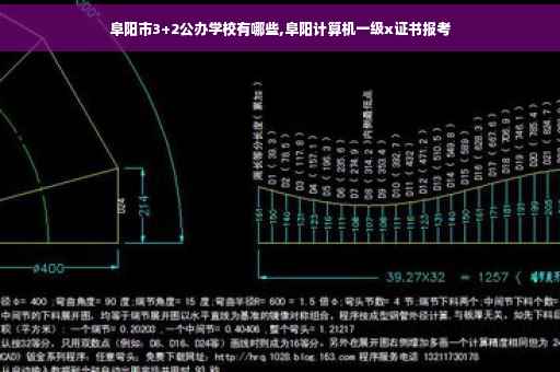 阜阳市3+2公办学校有哪些,阜阳计算机一级x证书报考