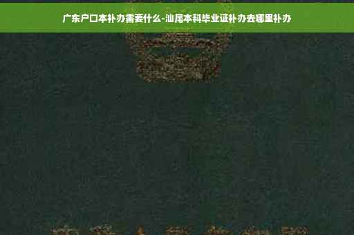 广东户口本补办需要什么-汕尾本科毕业证补办去哪里补办
