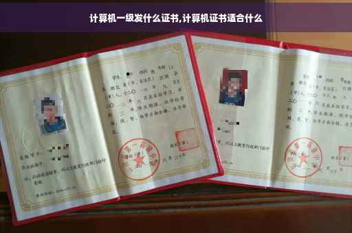 计算机一级发什么证书,计算机证书适合什么