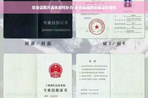 毕业证照片丢失如何补办-补办出来的毕业证长啥样