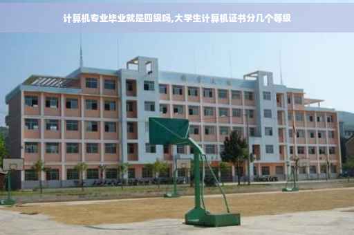 计算机专业毕业就是四级吗,大学生计算机证书分几个等级