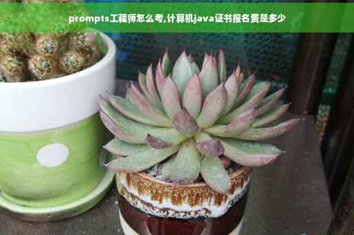 prompts工程师怎么考,计算机java证书报名费是多少